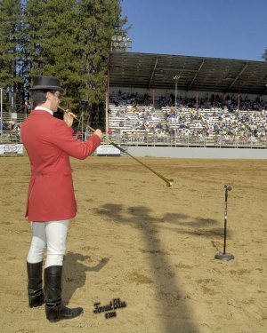 Pete Estabrook@Draft Horse Classic in 08